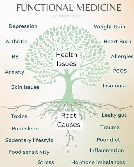 Image representing functional medicine.