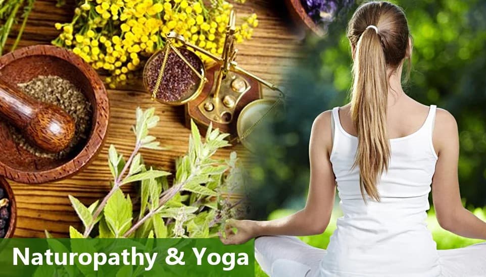 Image representing naturopathy.